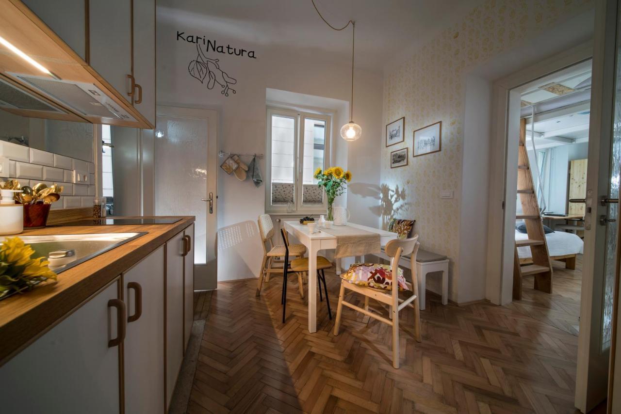Karinatura Lublaň Exteriér fotografie